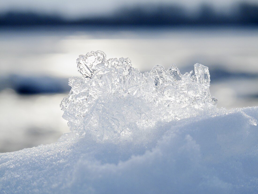 Ice crystals on snow