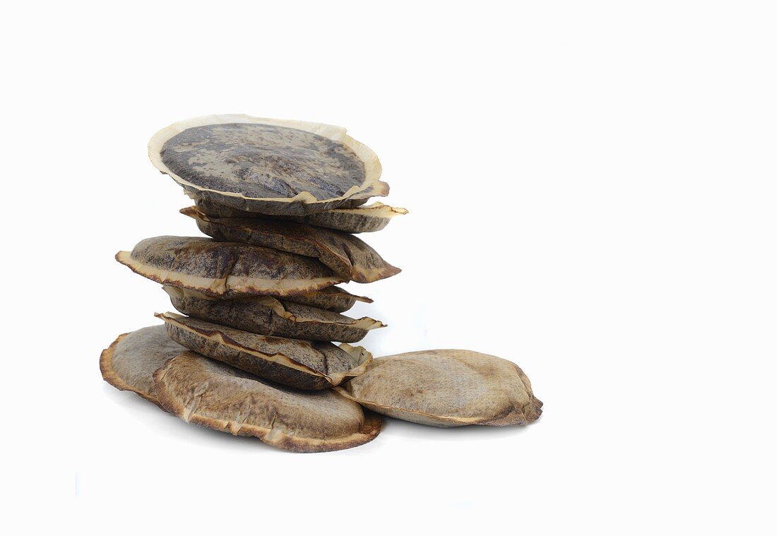 A stack of used coffee pads against a white background
