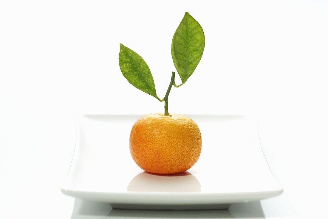 A clementine with leaves