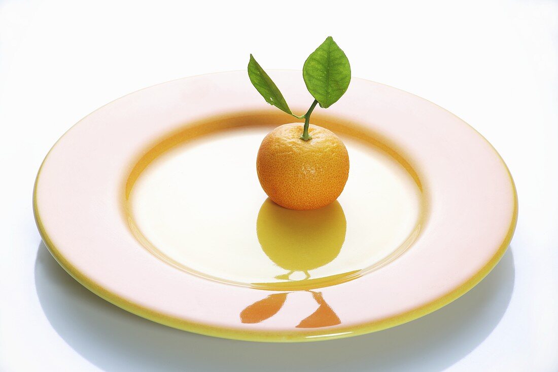 A clementine with leaves on a plate
