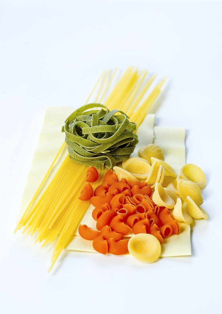 Spaghetti, green tagliatelle, pipe rigate, orecchiette and lasagne