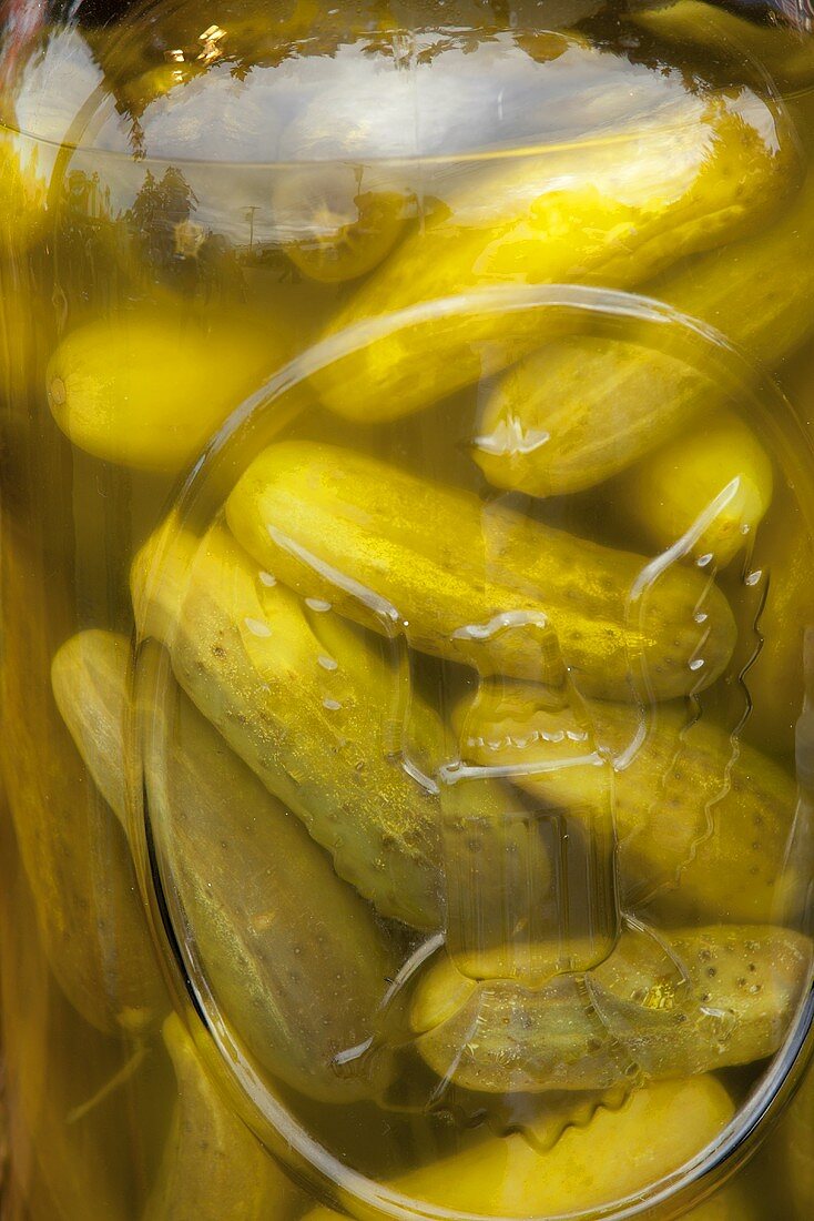 Large Jar of Dill Pickles