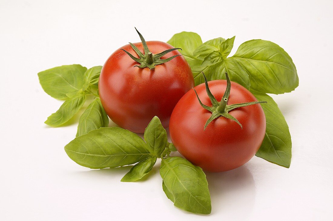 Tomaten und Basilikum