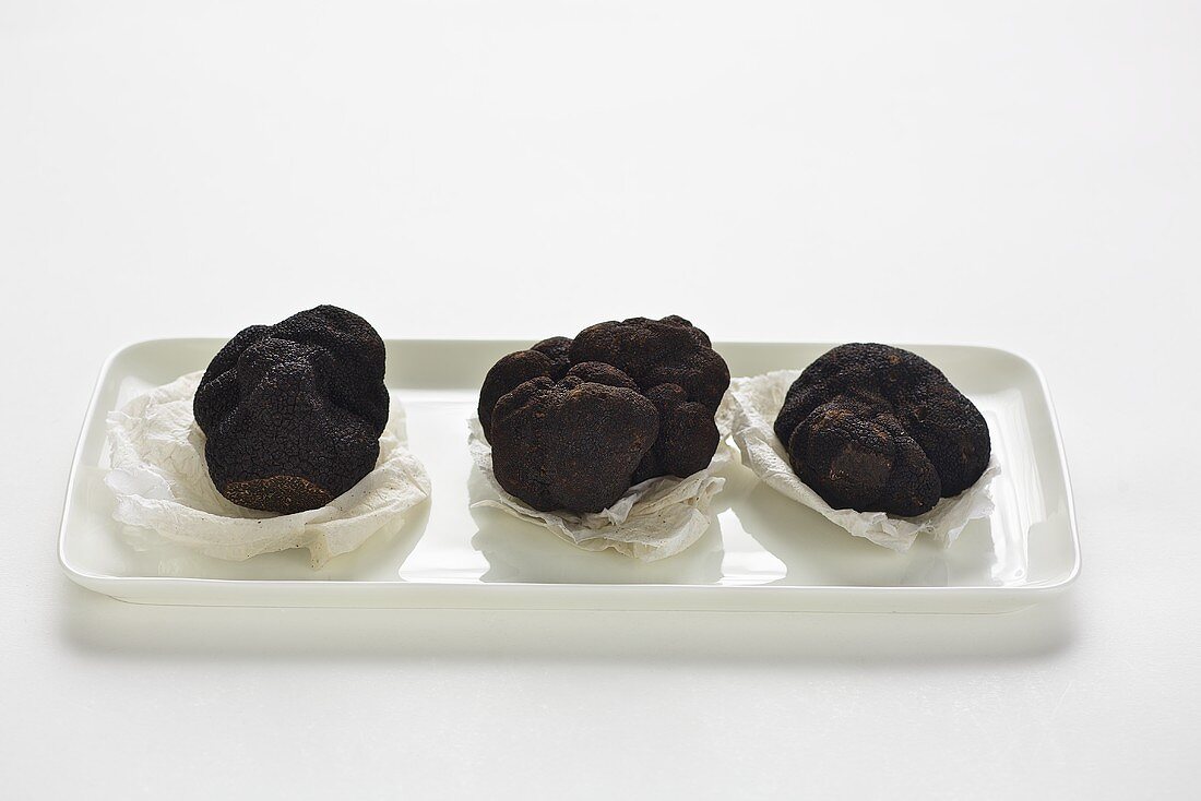 Three Perigord truffles on paper