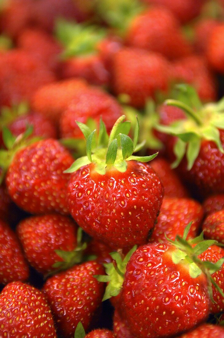 Fresh Red Strawberries