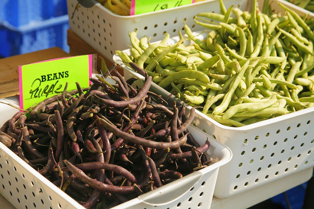 Verschiedene frische Bohnen auf dem Markt