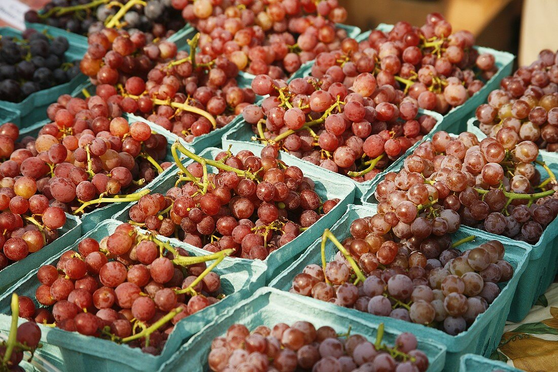 Organic Red Grapes at Farmer's Market