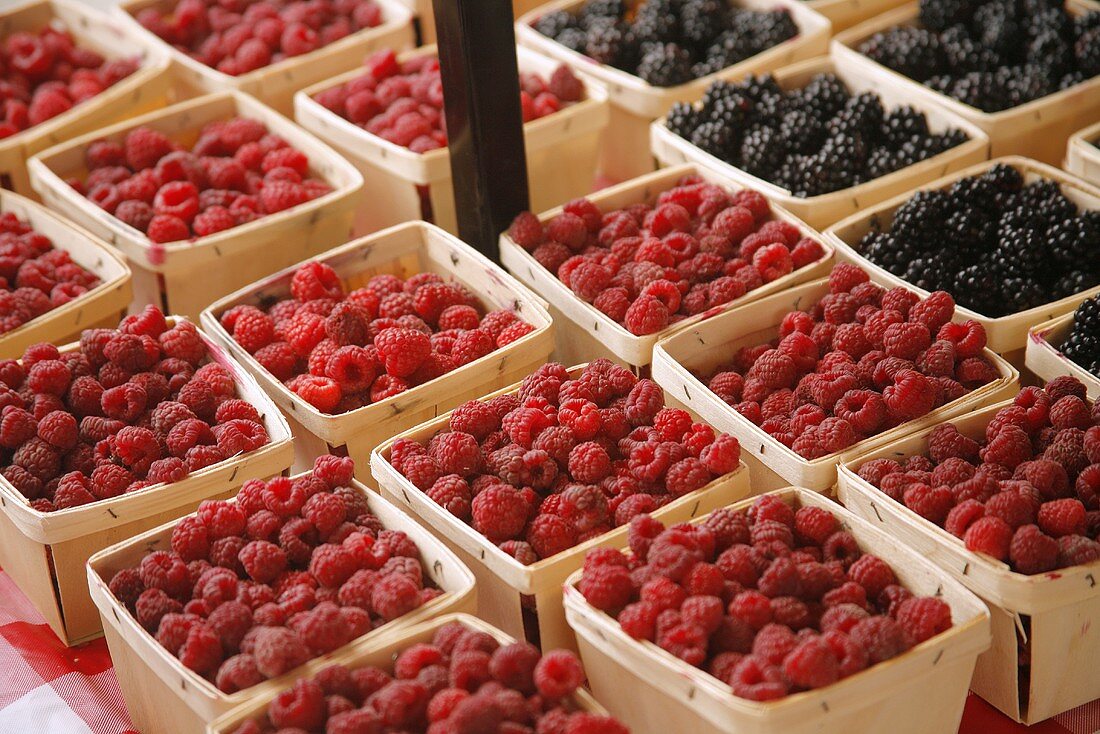 Frische Himbeeren und Brombeeren auf dem Markt