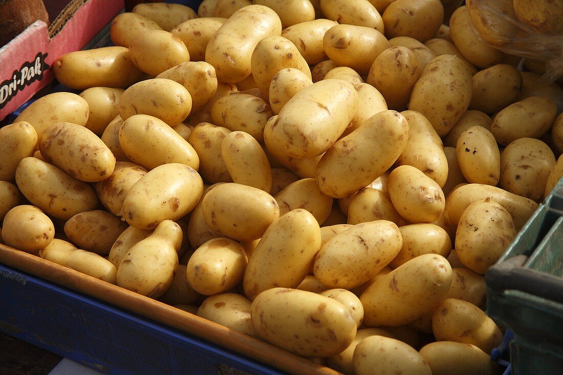 Frische Bio-Kartoffeln in Steige auf dem Markt (Bantry, Irland)