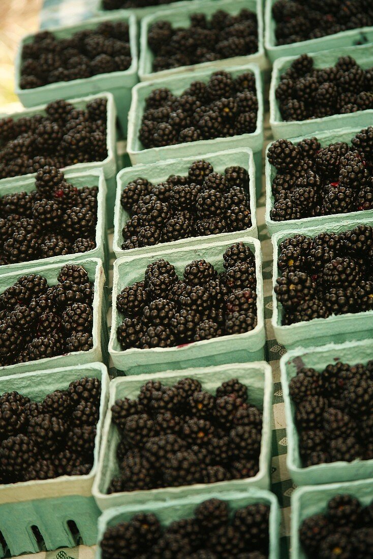 Viele Pappschälchen mit Brombeeren auf dem Markt