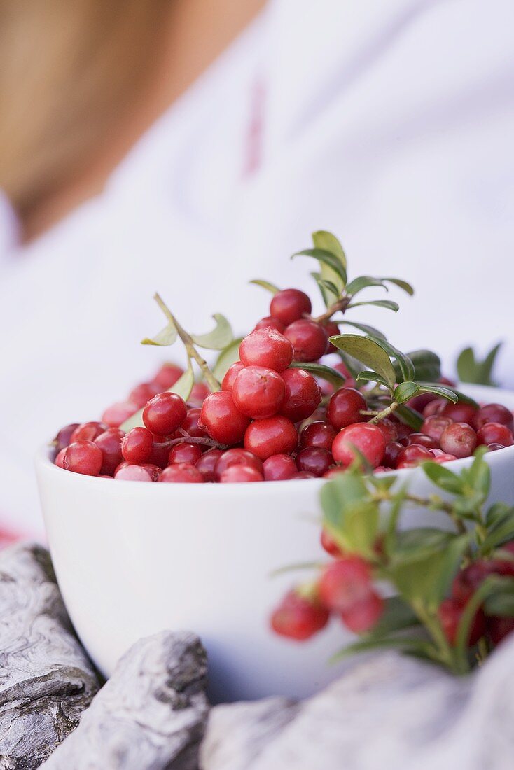 A bowl of fresh lingonberries
