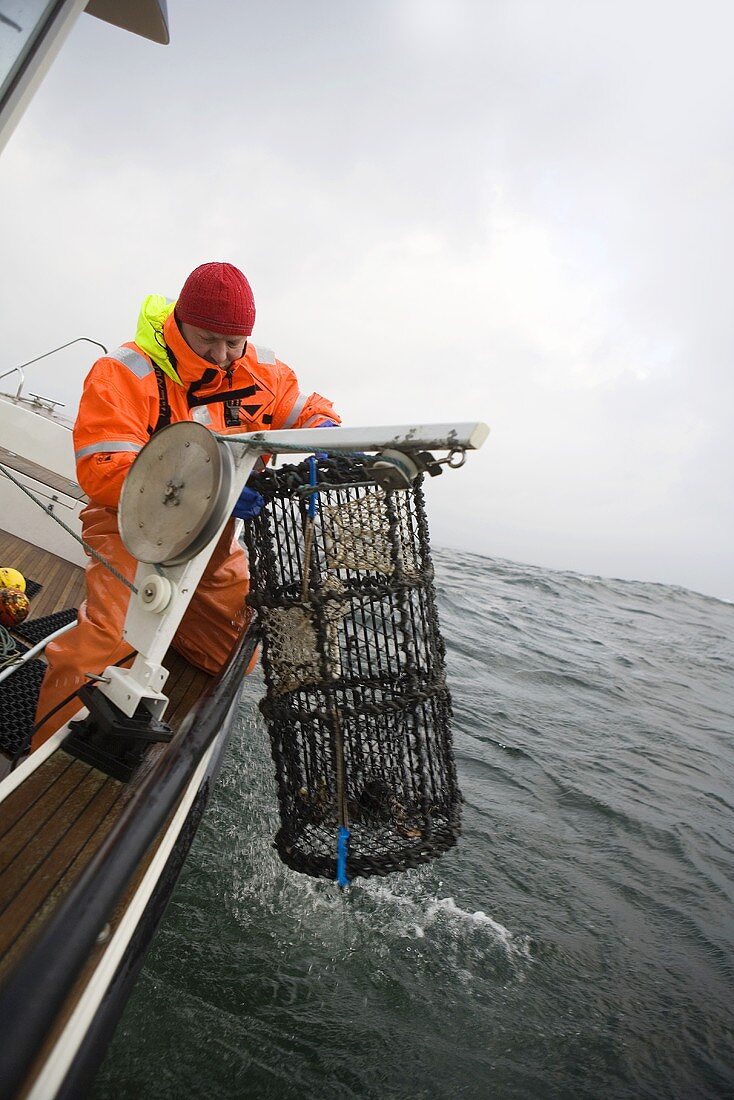 Fischer mit Hummerfalle auf dem Meer