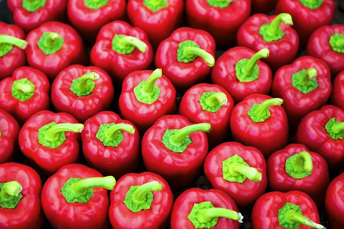 Lots of red peppers (macro zoom)