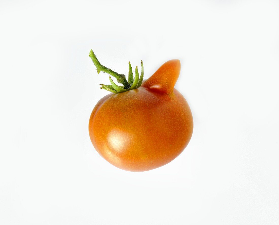 Eine Tomate