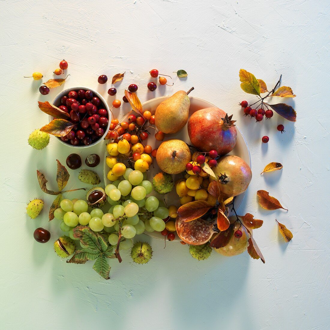 An autumnal arrangement of grapes, pears, rosehips and pomegranates