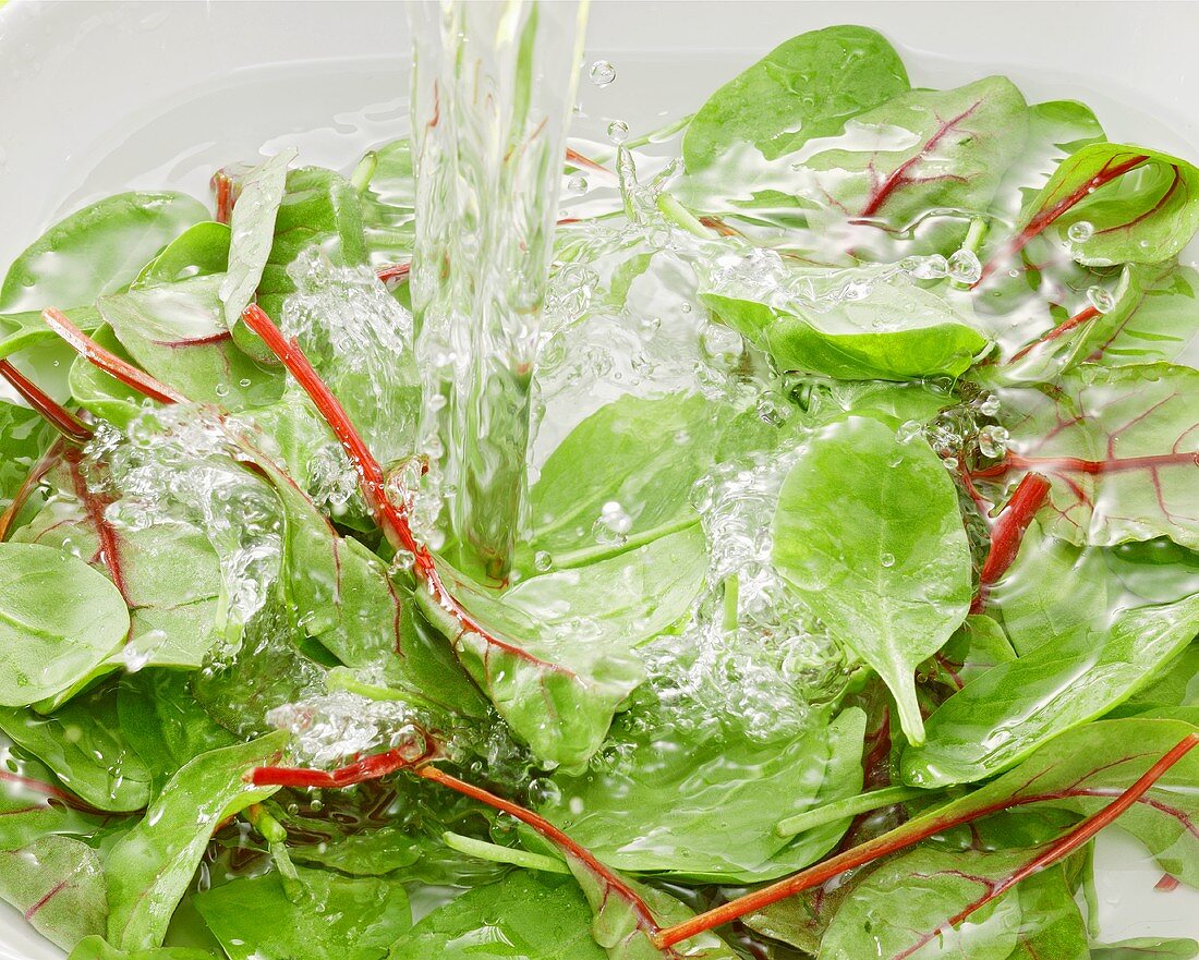 Spinach in water