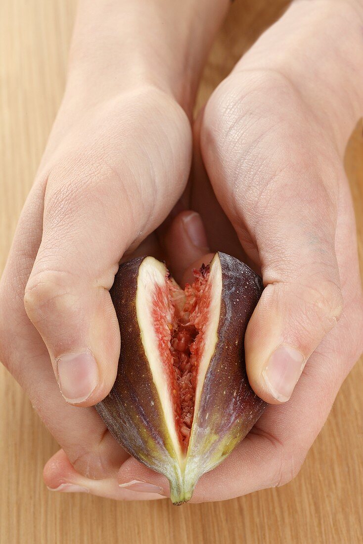 Hands breaking open a fig