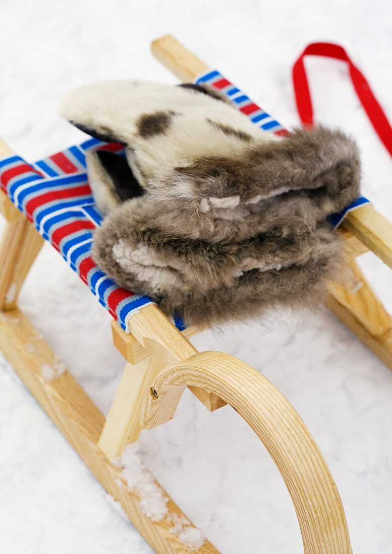 Animal hide glove on a sled