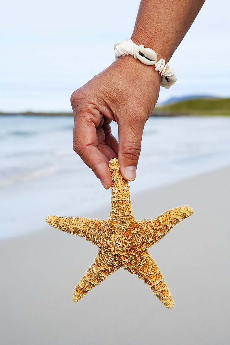 Man's hand with a starfish