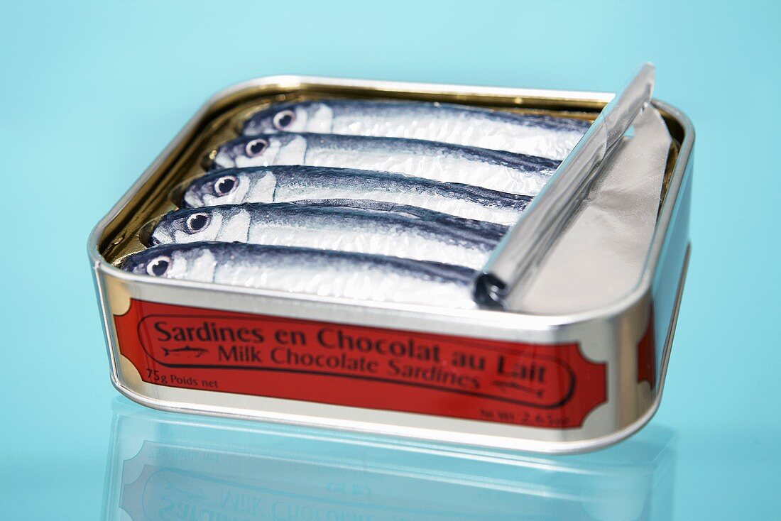 Chocolate sardines in the tin