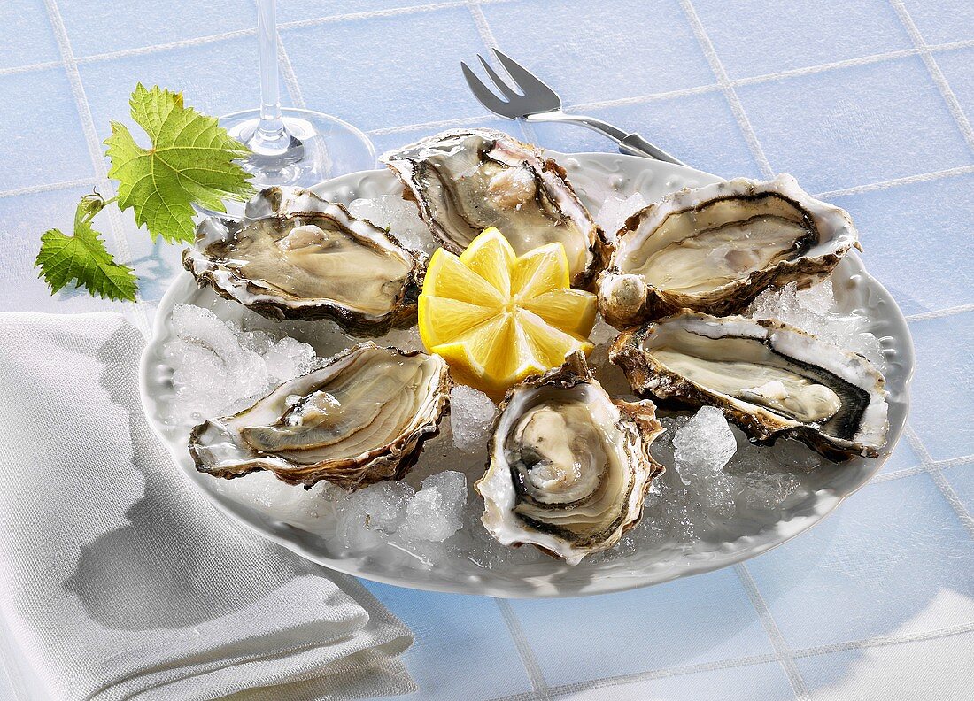 Fresh oysters with lemon on ice