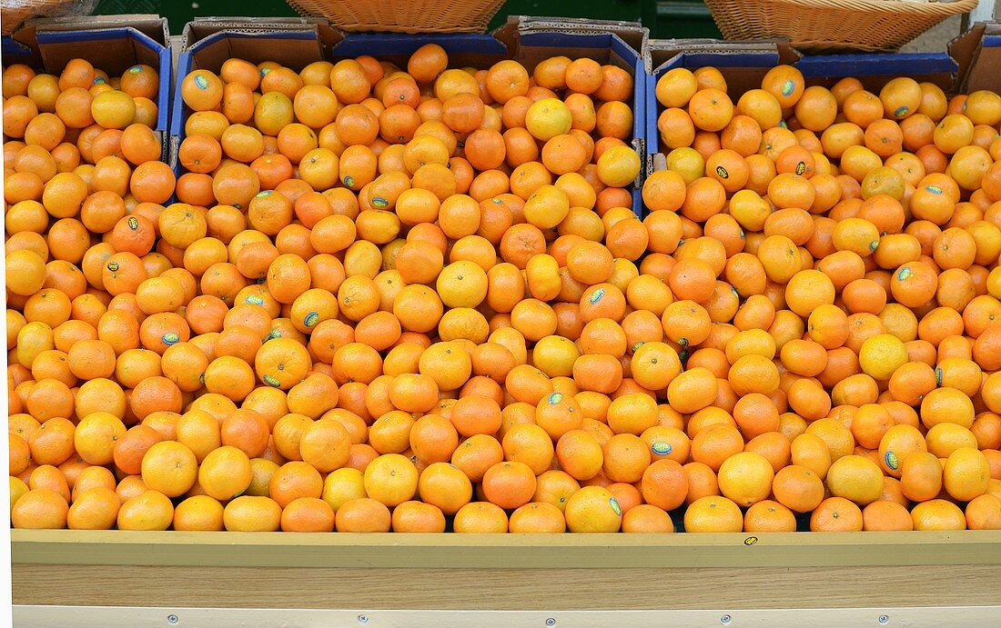 Viele Clementinen in Steigen auf dem Markt