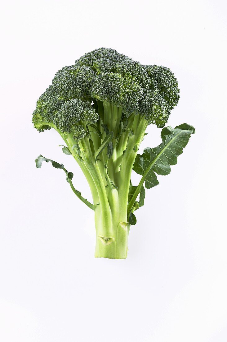 Fresh broccoli