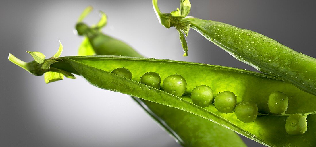 Frische Erbsenschoten