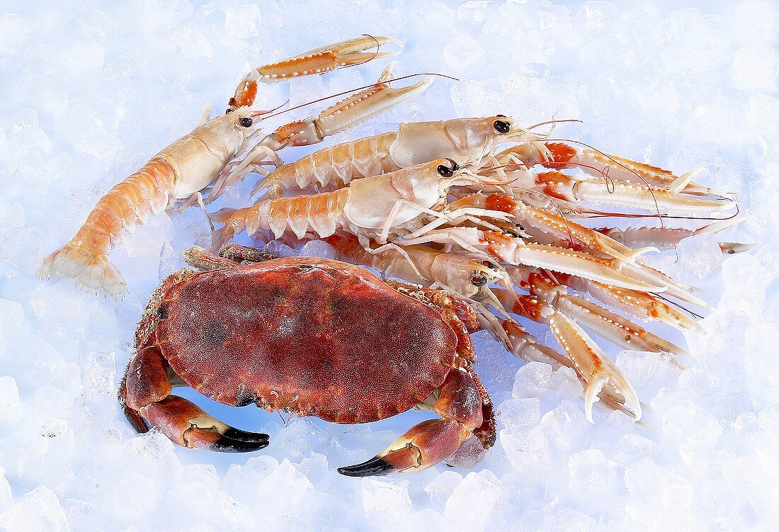 Whole crab and lobster on ice