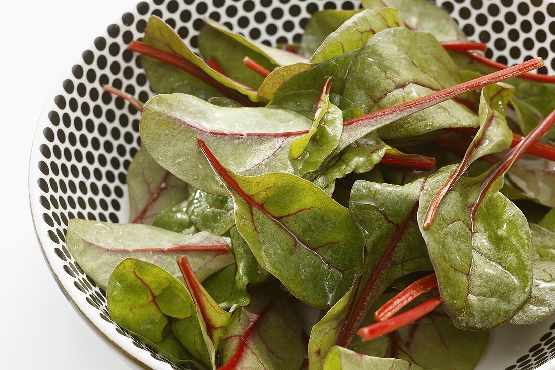 Baby chard leaves in a basket