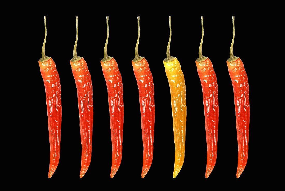Red and yellow jalapeños against a black background