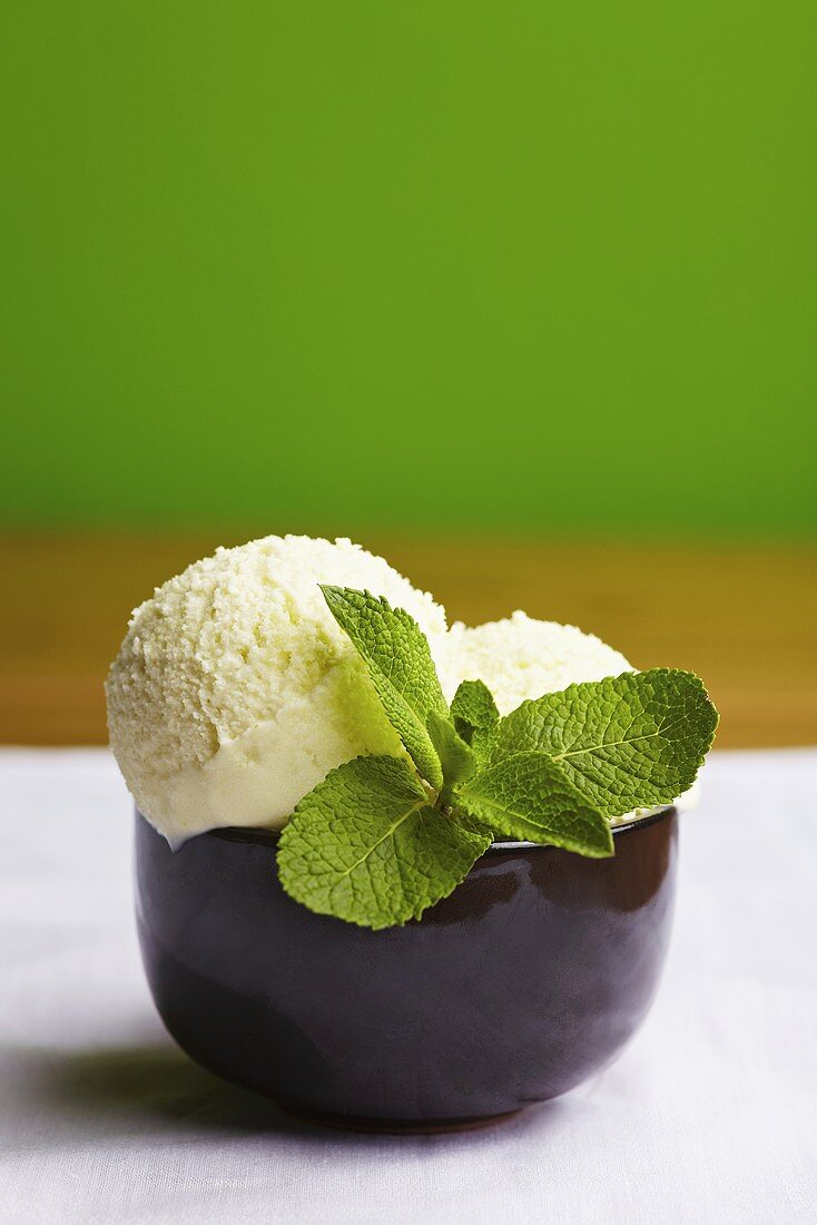 Two scoops of peppermint ice cream with fresh mint leaves