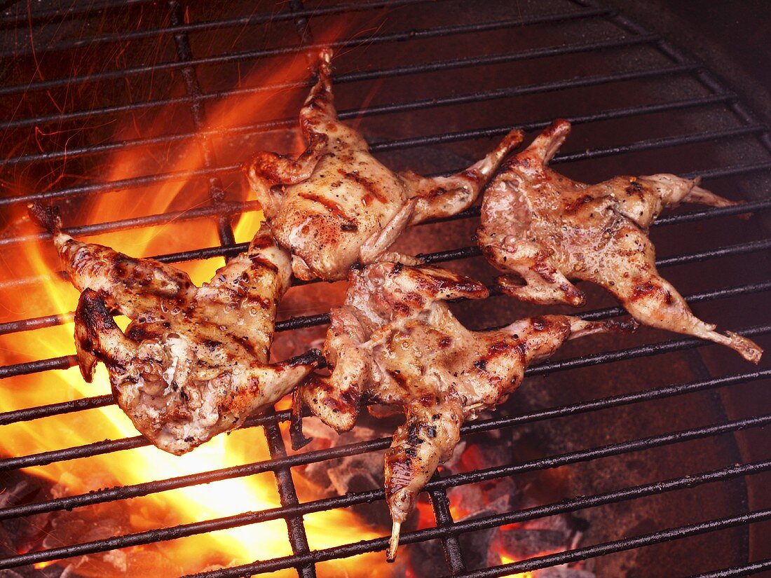Butterflied Quail on the Grill