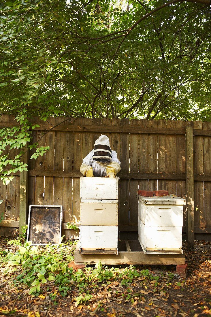 Imkerin beim Bienenhaus