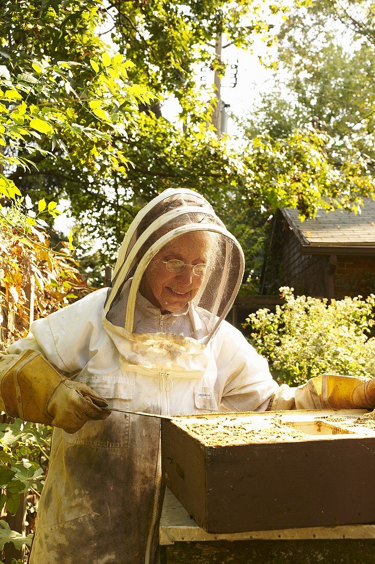 Imkerin bei der Honiggewinnung