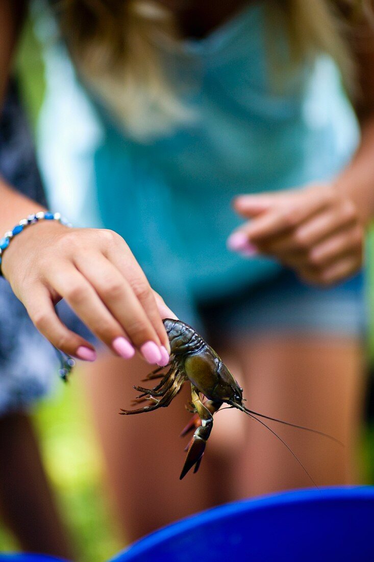 A young woman holding a live crayfish