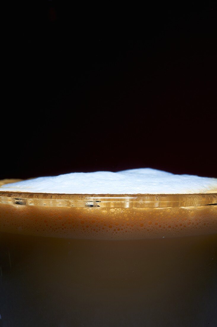 Foamed Milk on Latte; Close Up