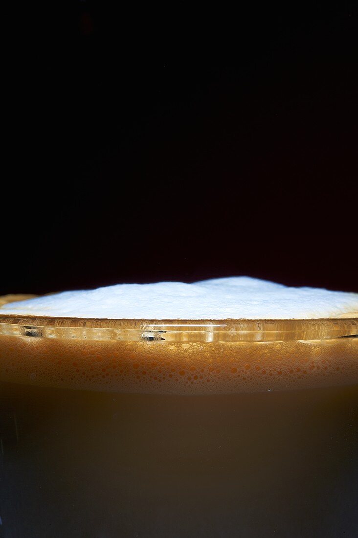 Milchschaum auf Kaffee (Nahaufnahme)