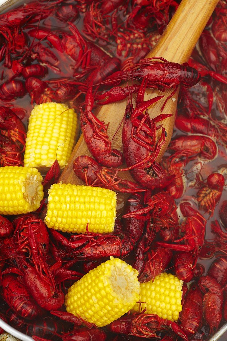 Cajun Crawfish Boil with Corn on the Cob