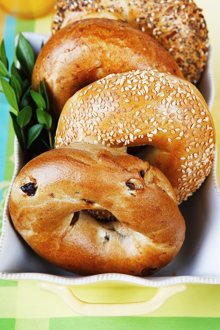 Assorted Bagels on a Tray