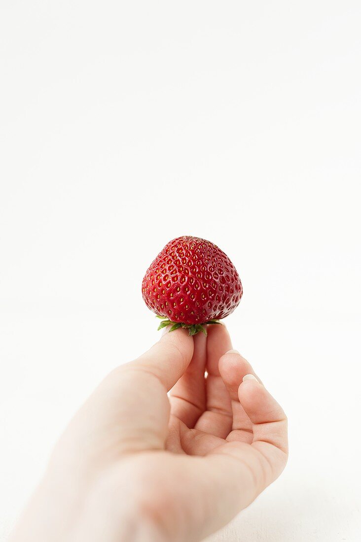 Hand Holding a Strawberry; White Background