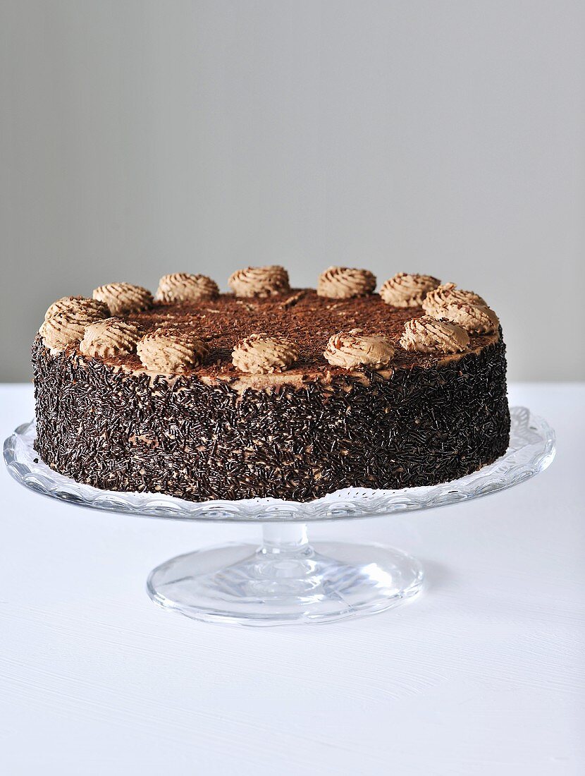 A chocolate cake with chocolate strands