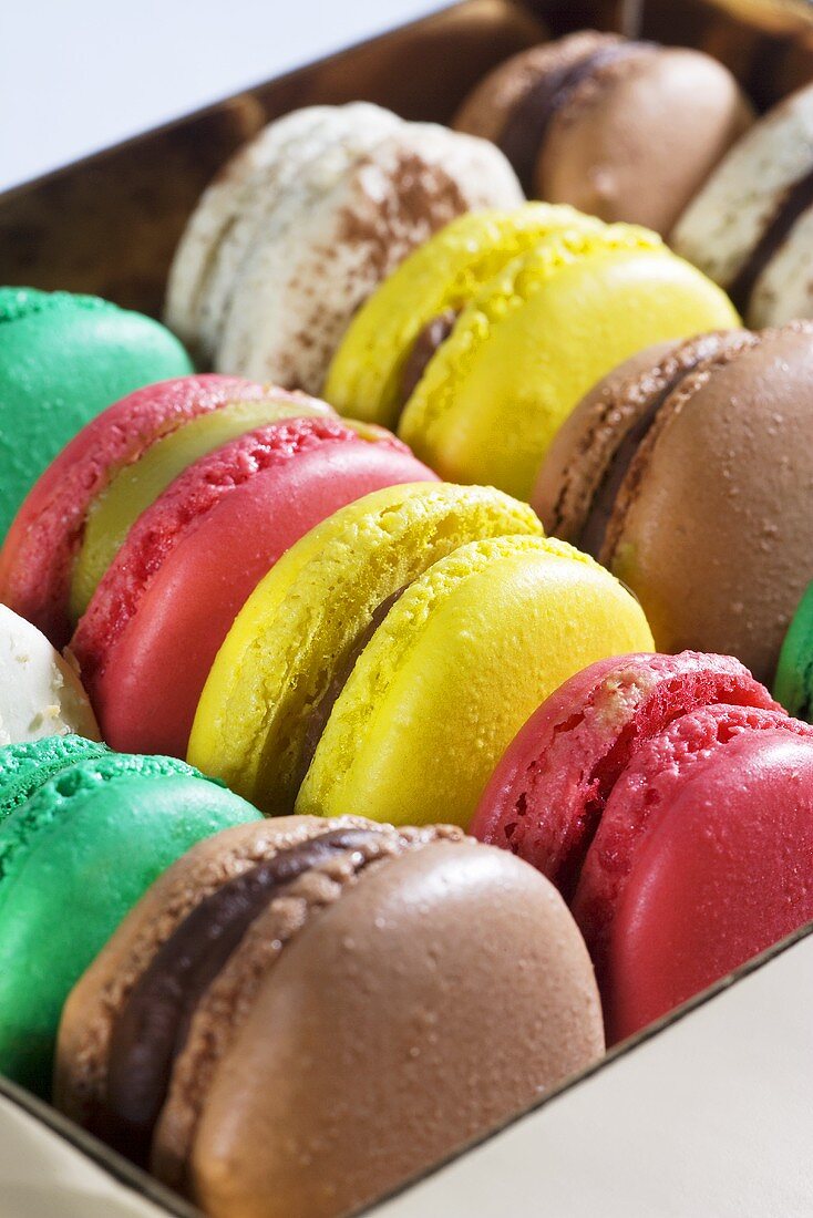 Bunte Macarons in einer Schachtel (Ausschnitt)