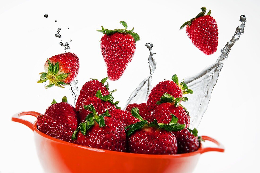 Frische Erdbeeren in Plastikschale mit Wasserstrahl