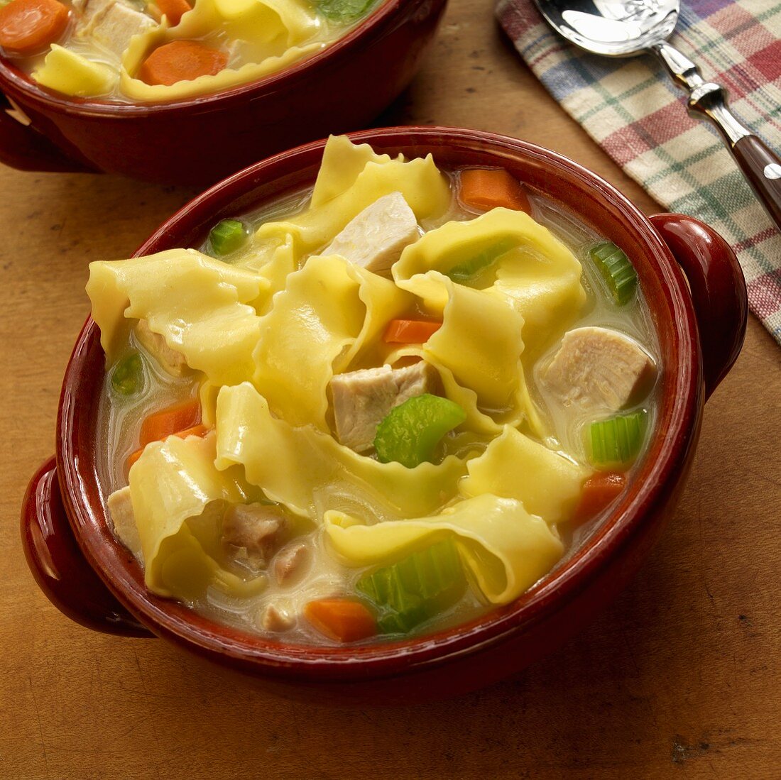 Chicken Noodle Soup Made with Wide Egg Noodles; In a Bowl