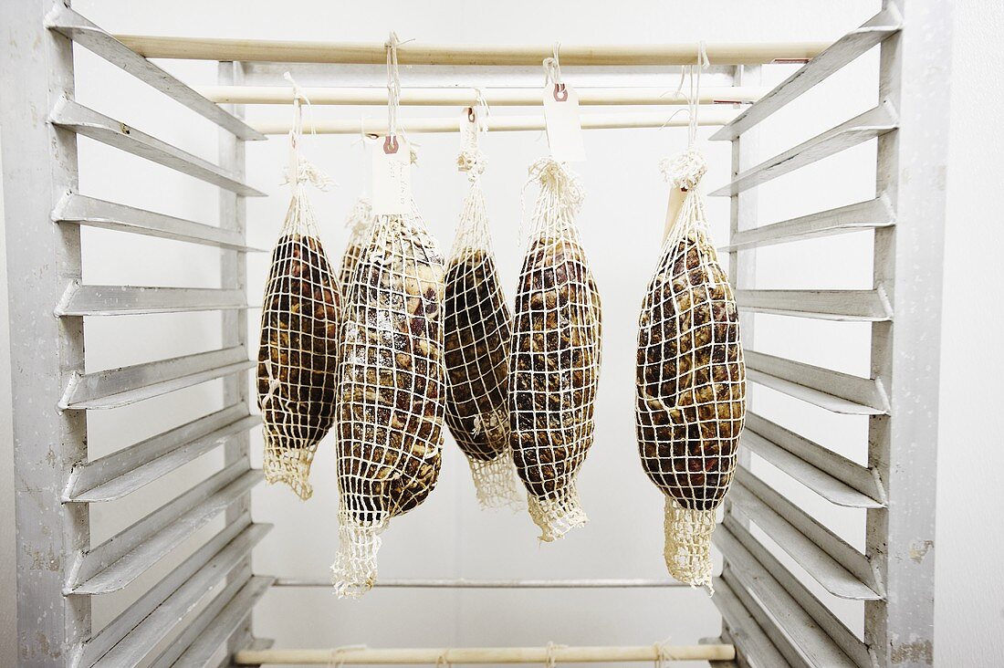 Coppa Pork Hanging in a Curing Room