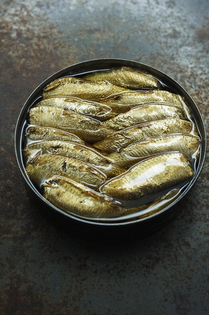 Smoked Sprats in an Open Can