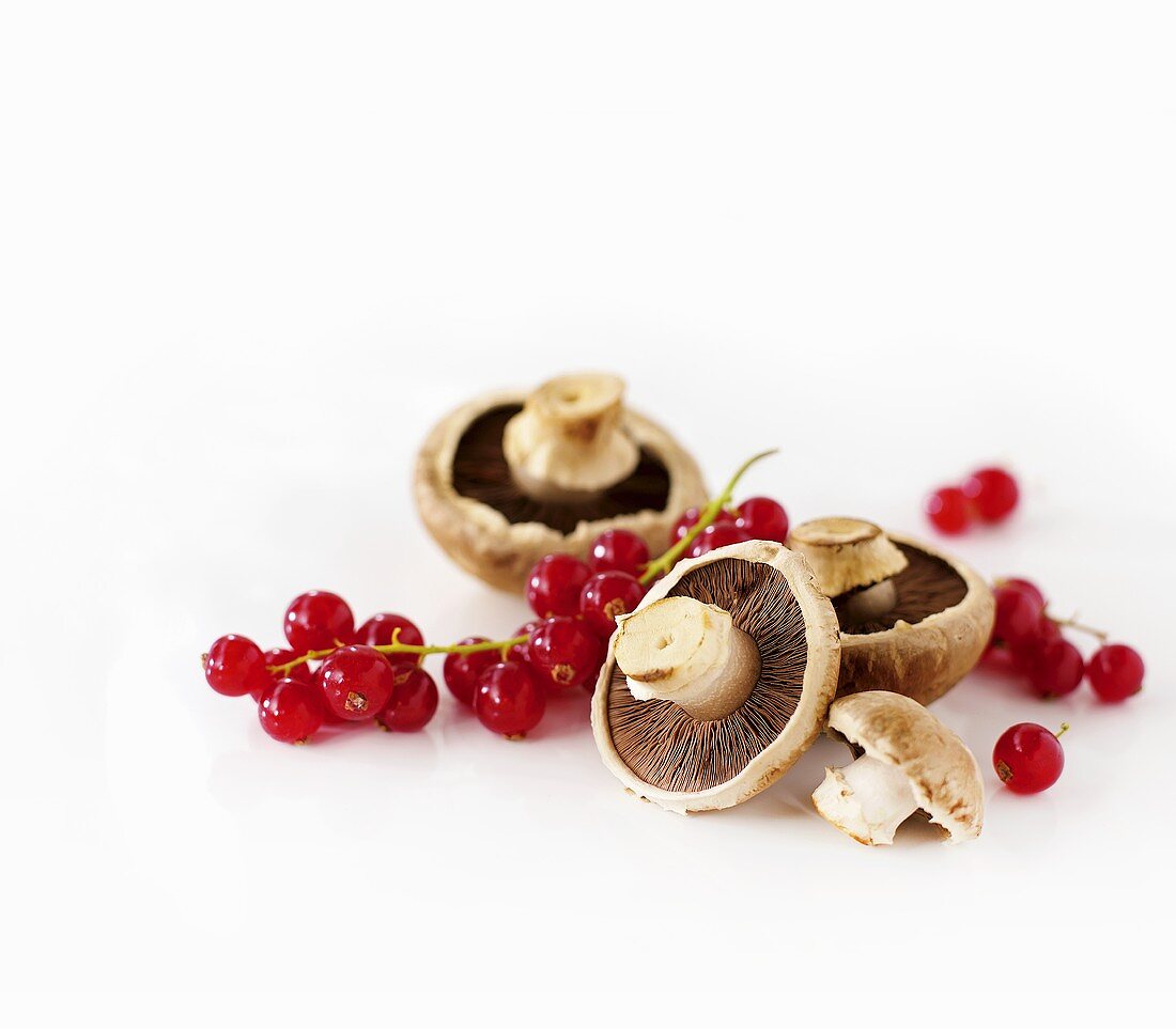 Champignons und rote Johannisbeeren