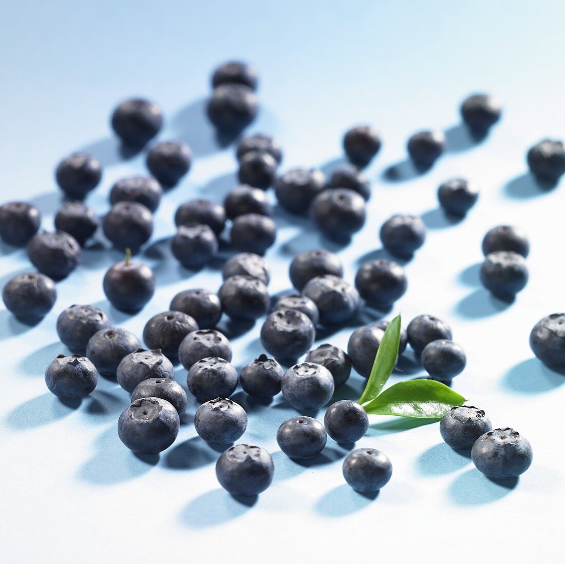 Viele Heidelbeeren