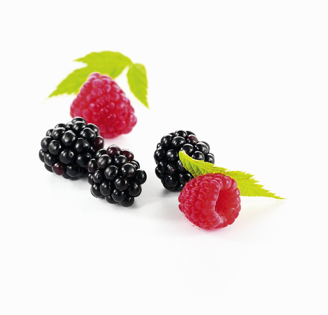 Blackberries and raspberries with leaves